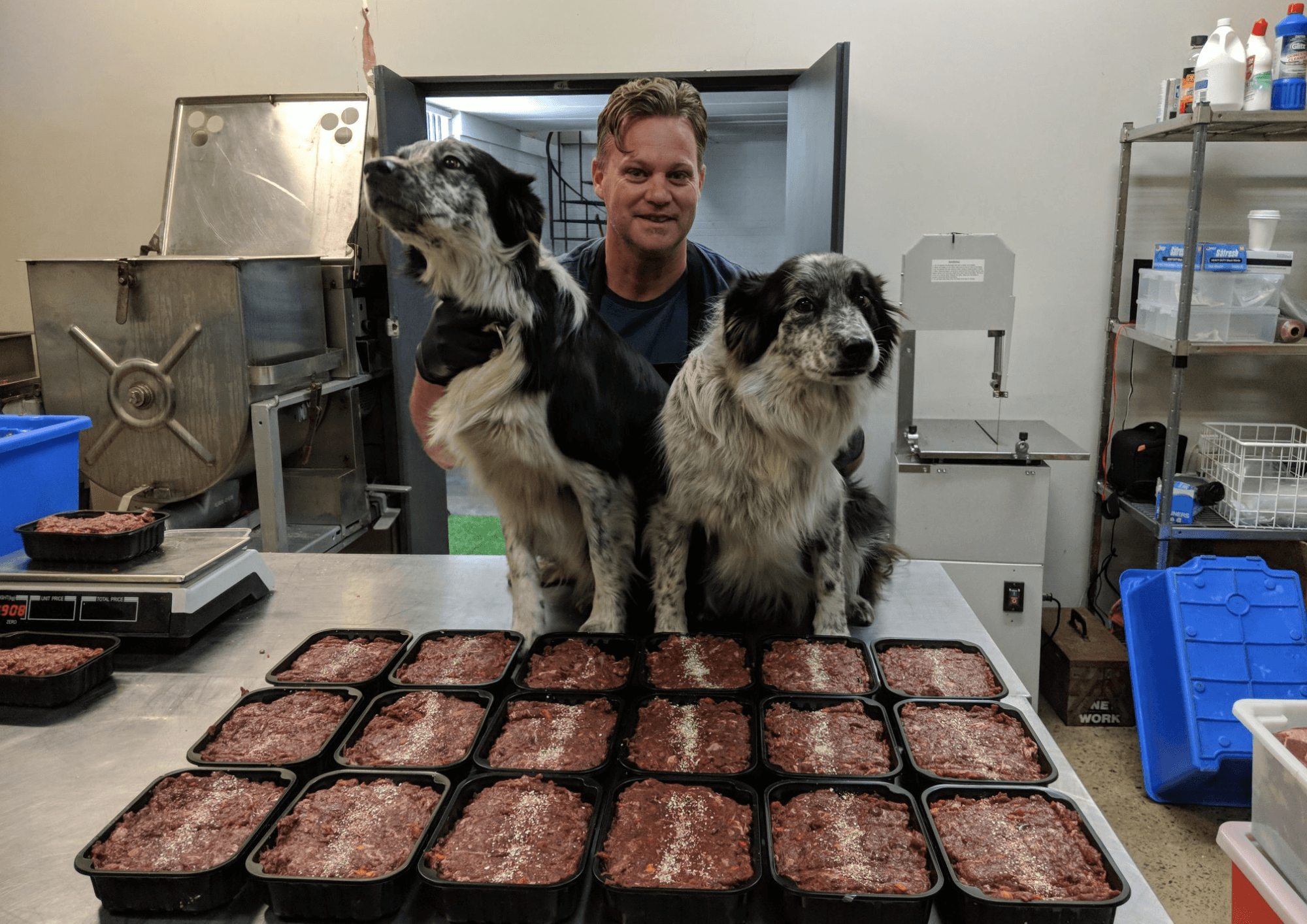 A Pet Fresh team member in the kitchen with two dogs and a bench of fresh raw trays